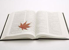 八年级下期作文